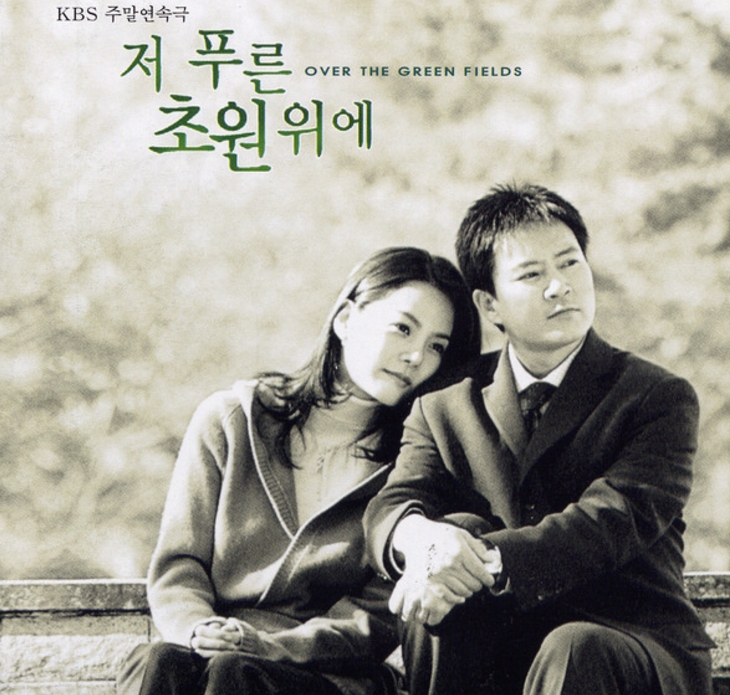 韓国ドラマ【あの青い草原の上で】のあらすじ28話～30話と感想-結婚